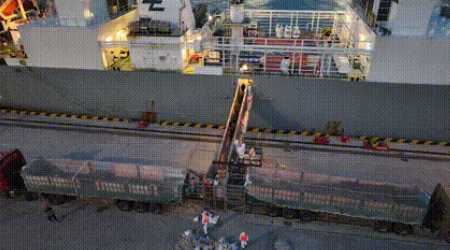 活禽海运-活？赡芙诼