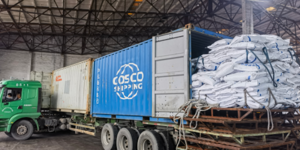 ?有机肥料可能走集装箱海运吗，必要留心什么？