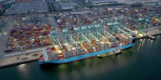 2024年集装箱航运行业意表迎来高光