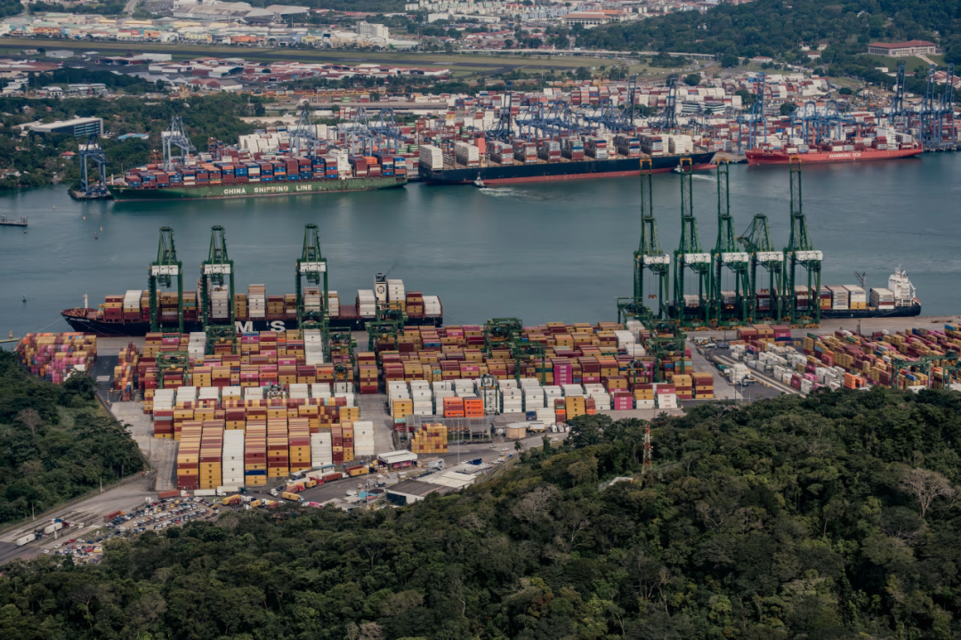 首页-人生就是博手机版